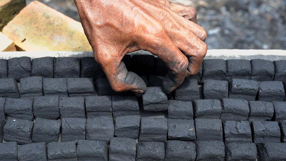 الفرق بين الفحم الحجري وفحم جوز الهند يكمن في مصدرهما، خصائصهما، وتأثيرهما على البيئة والصحة. فالفحم الحجري هو وقود أحفوري يُستخرج من باطن الأرض، بينما يتم إنتاج فحم جوز الهند من قشور جوز الهند بعد معالجتها بطرق خاصة. هذا الاختلاف الجوهري يجعل لكل منهما استخدامات وفوائد ومخاطر مختلفة. ومع تزايد الوعي البيئي، بدأ كثيرون بالتحول نحو البدائل الأكثر استدامة مثل فحم مربعات جوز الهند، الذي يتميز بكفاءته العالية وضرره البيئي الأقل. 1. المصدر وطريقة الإنتاج الفحم الحجري: يُستخرج من مناجم تحت الأرض أو من على سطح الأرض. يتطلب عملية تعدين مكثفة قد تؤدي إلى تدمير البيئة الطبيعية، وإطلاق غازات دفيئة تضر بالمناخ. فحم جوز الهند: يتم إنتاجه من قشور جوز الهند، وهي مادة ثانوية من صناعة جوز الهند، مما يجعله خيارًا صديقًا للبيئة. يُحرق القشر في بيئة منخفضة الأكسجين لإنتاج الفحم النشط. 2. الخصائص الفيزيائية والكيميائية الفحم الحجري: يحتوي على نسبة عالية من الكبريت والمعادن الثقيلة، مما يؤدي إلى انبعاثات ضارة عند الاحتراق. فحم جوز الهند: يتميز بنسبة عالية من الكربون النشط، مسام دقيقة، ورطوبة منخفضة، مما يسمح باحتراق أنظف وحرارة مستقرة. 3. التأثير البيئي الفحم الحجري: يعد من أكبر مصادر انبعاثات ثاني أكسيد الكربون والملوثات الجوية، مما يساهم في الاحتباس الحراري وتلوث الهواء. فحم جوز الهند: يتم إنتاجه من موارد متجددة، وانبعاثاته أقل بكثير، كما يمكن إعادة تدوير رماده في التربة كمحسّن زراعي. 4. الاستخدامات الفحم الحجري: يُستخدم بشكل أساسي في محطات توليد الطاقة وصناعة الصلب، لكنه غير شائع في الاستخدامات المنزلية بسبب انبعاثاته الضارة. فحم جوز الهند: شائع في الطهي والشواء، كما يُستخدم في تنقية المياه، تنقية الهواء، وصناعة منتجات العناية الشخصية. 5. الكلفة والجدوى الاقتصادية الفحم الحجري قد يكون أقل تكلفة على المدى القصير في بعض الدول، لكنه يسبب أضرارًا بيئية وصحية تؤدي إلى تكاليف غير مباشرة ضخمة. فحم جوز الهند قد يكون أغلى قليلًا في الشراء، لكنه أكثر كفاءة، يدوم لفترة أطول، وصديق للبيئة، مما يجعله استثمارًا أفضل على المدى الطويل. لماذا يفضل الكثيرون فحم جوز الهند؟ هناك عدة أسباب تجعل فحم جوز الهند الخيار المفضل لدى الطهاة والمستهلكين: احتراق أطول وحرارة مستقرة. انبعاثات دخان ورائحة أقل. خلوه تقريبًا من الشوائب الضارة. دعم الاقتصاد المحلي في الدول المنتجة لجوز الهند. أيهما أفضل؟ الاختيار بين الفحم الحجري وفحم جوز الهند يعتمد على الغرض من الاستخدام، لكن من الناحية البيئية والصحية، فحم جوز الهند يتفوق بوضوح. فهو لا يلوث الهواء بمستوى الفحم الحجري، ولا يتطلب عمليات تعدين مدمرة، كما أنه يأتي من مصدر متجدد ومستدام. بالإضافة إلى ذلك، فإن استخدامه يساهم في تقليل البصمة الكربونية ودعم الصناعات المحلية في الدول المنتجة لجوز الهند، مما يجعله خيارًا مثاليًا لمن يسعى للجودة والحفاظ على البيئة في آن واحد. الخلاصة عند المقارنة، نجد أن الفرق بين الفحم الحجري وفحم جوز الهند لا يقتصر على مصدر الإنتاج، بل يمتد إلى تأثيره على البيئة، الصحة، وحتى جودة الأداء. ومع استمرار العالم في البحث عن بدائل نظيفة للطاقة والوقود، يظل فحم جوز الهند، وخاصة فحم مربعات جوز الهند، خيارًا ذكيًا يجمع بين الكفاءة والحفاظ على الكوكب. كما أن التوجه العالمي نحو الاستدامة يعزز مكانة فحم جوز الهند كخيار مستقبلي واعد، خاصة في مجالات الطهي، التدفئة، وتنقية المياه والهواء. وبفضل خصائصه النظيفة وفعاليته العالية، فإنه يلبي احتياجات المستخدمين الذين يبحثون عن أداء ممتاز دون الإضرار بالبيئة. مما يجعله استثمارًا طويل الأمد على المستويين الفردي والتجاري.