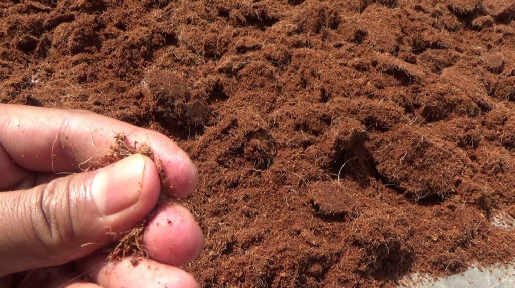 Eco briquettes from natural materials