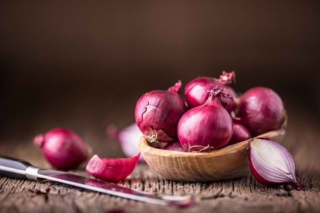 modal dan keuntungan usaha bawang merah