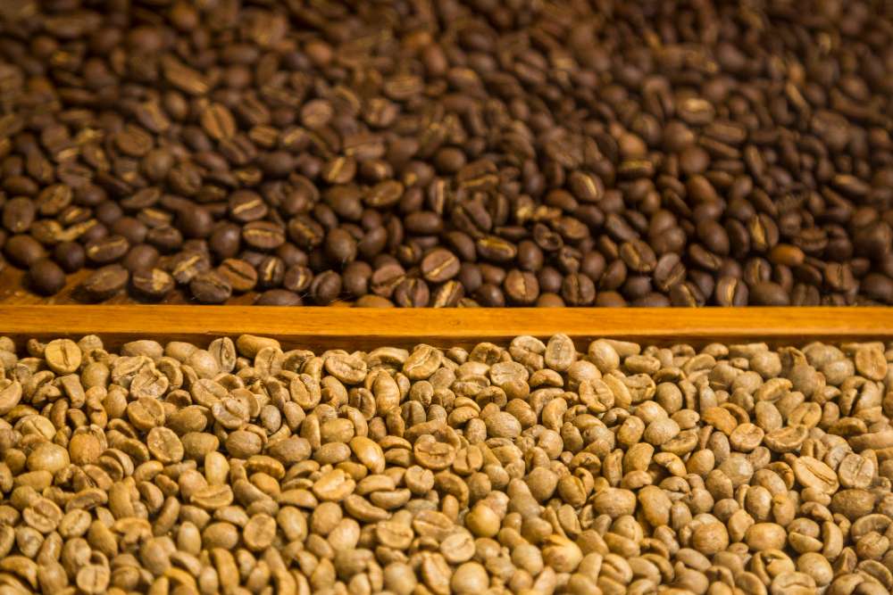 keunggulan mesin sortasi kopi