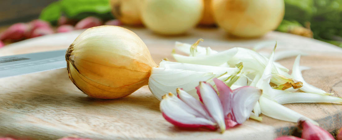 bawang iris untuk usaha