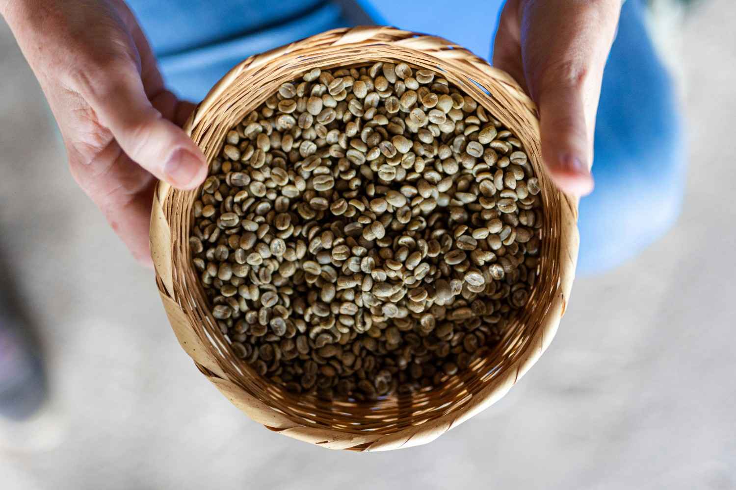 cara mengolah kopi mentah