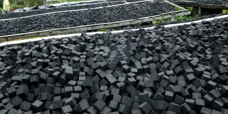 coconut shell briquette production process for export quality
