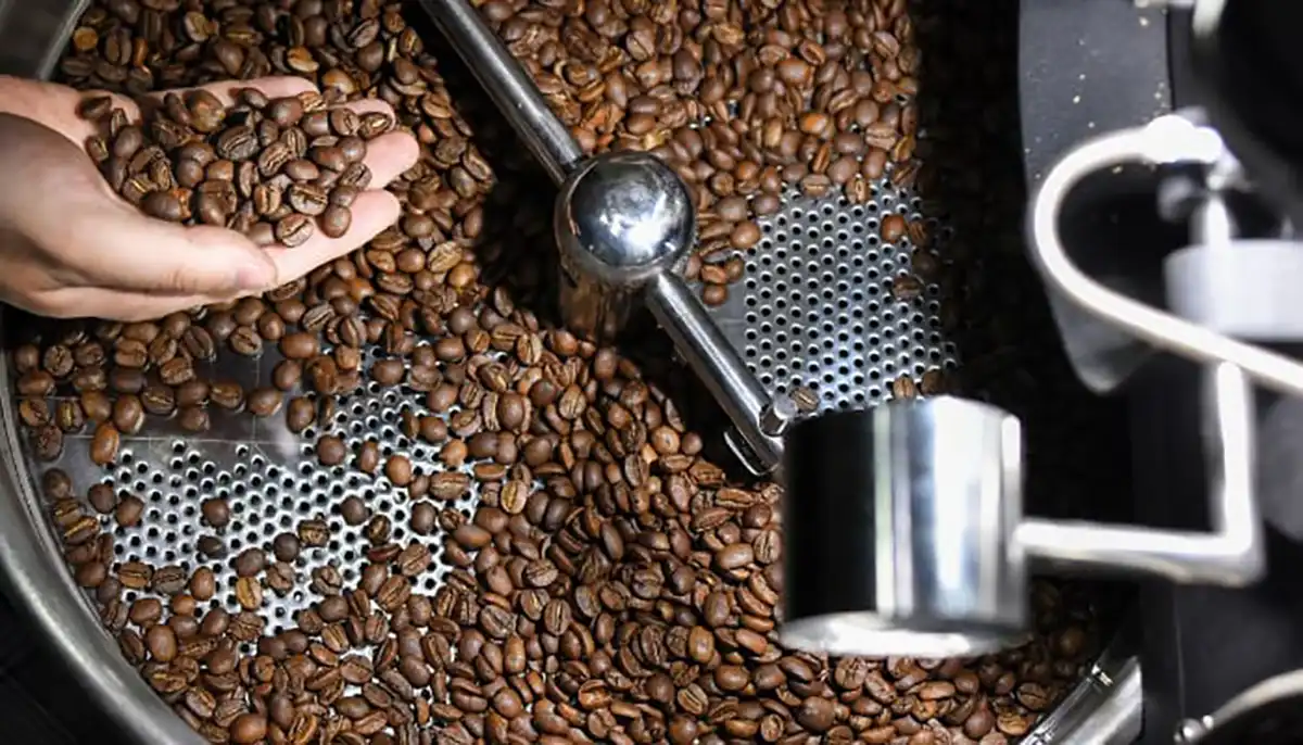 analisa usaha roasting kopi