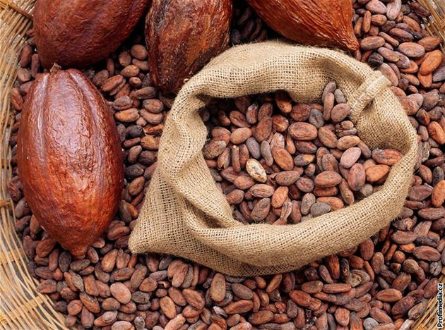 Peningkatan Produksi Kakao dengan Mesin Modern Efisien