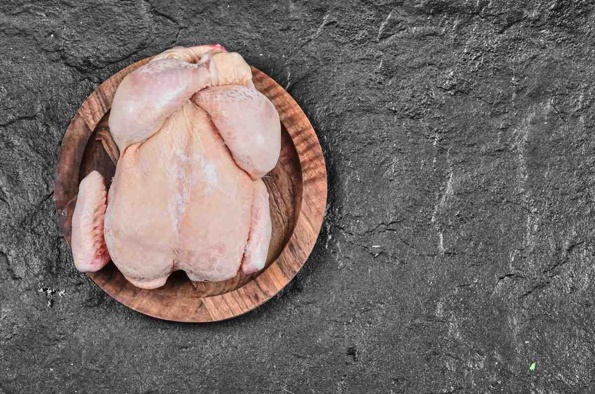 ayam