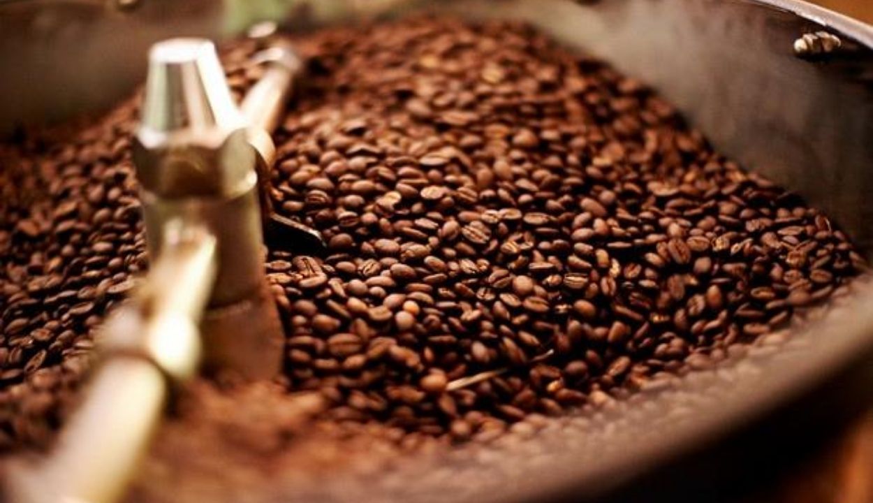 Hasil Sangrai Mesin Kopi Otomatis Lebih Berkualitas