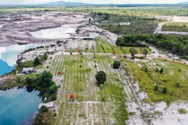 Karakteristik lahan bekas tambang