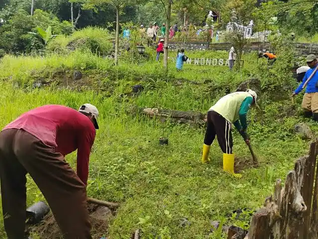 Penghijauan area perkebunan