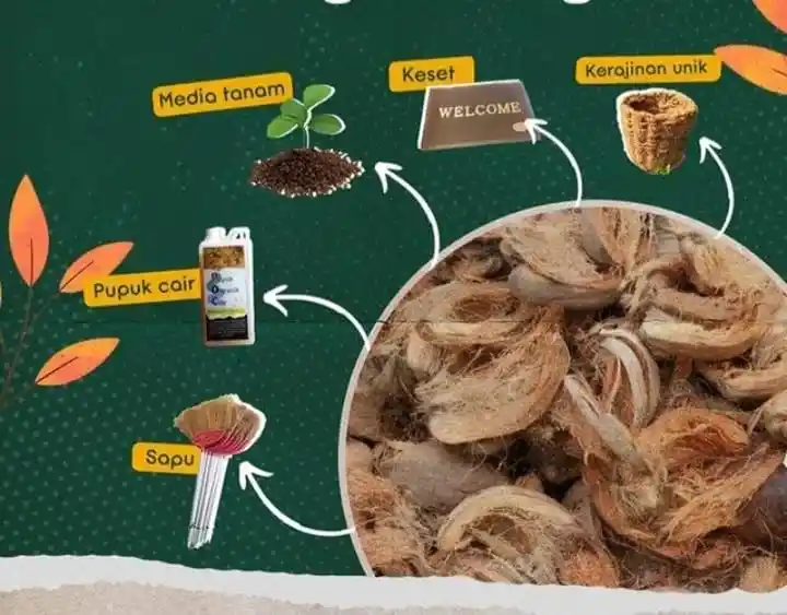fungsi sabut kelapa